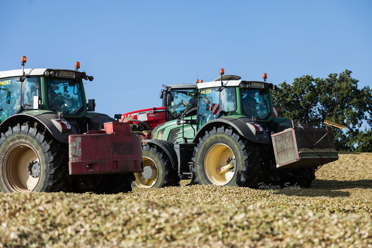 Bild 116 - Maisernte